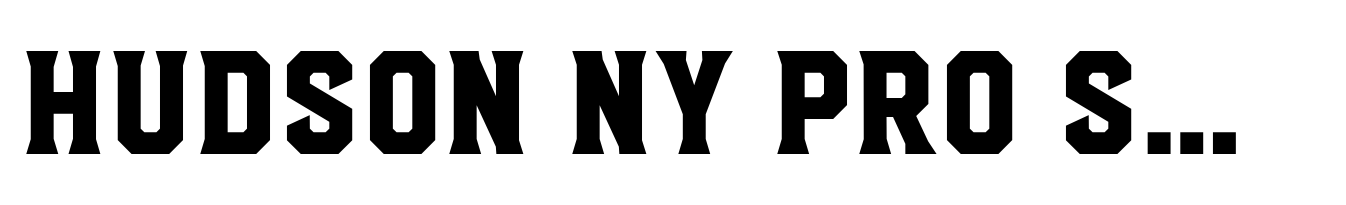 Hudson NY Pro Serif Bold